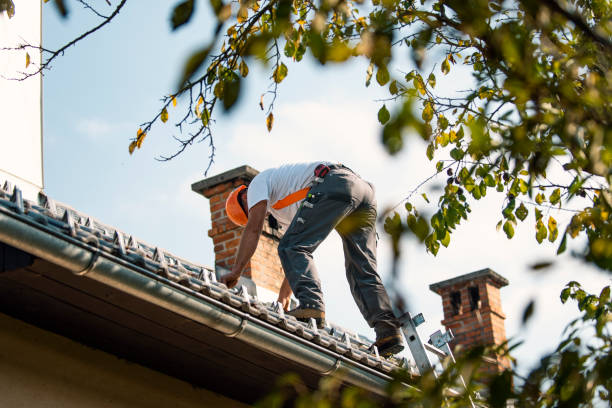 Best Roof Gutter Cleaning  in Bourbon, IN